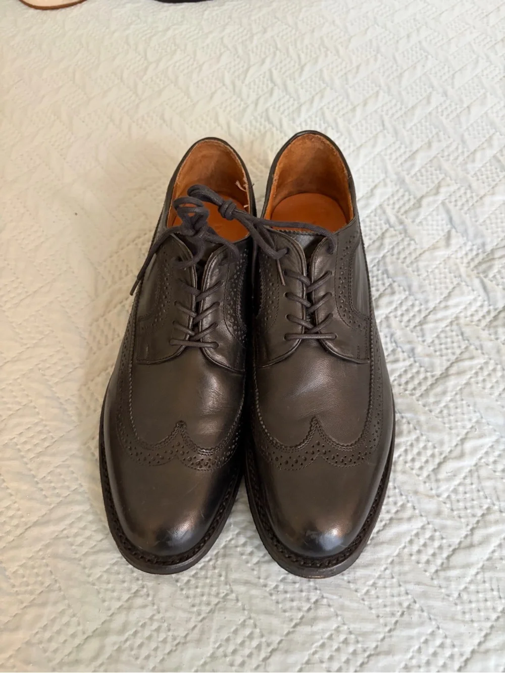Frye Dark Brown Leather Wingtip Derby Oxfords